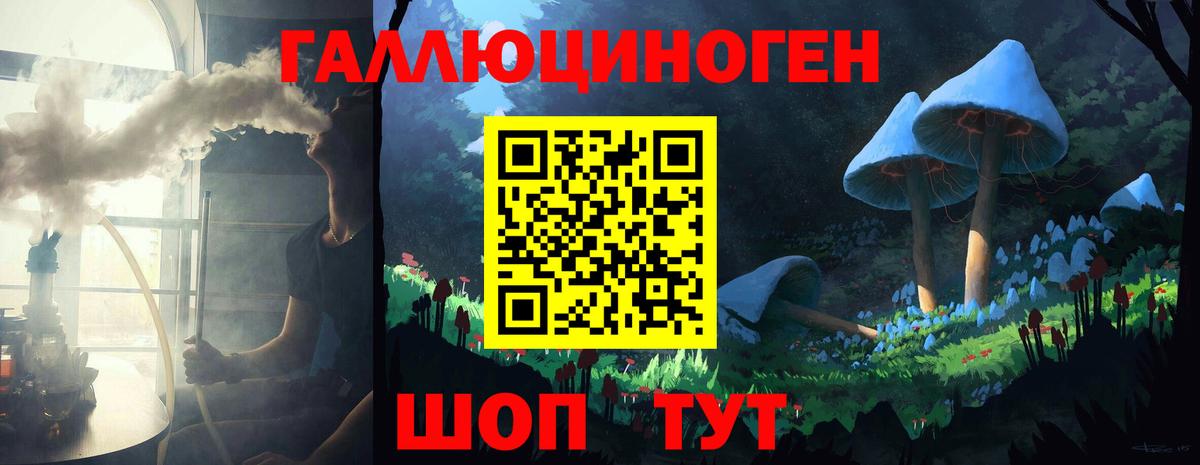 Псилоцибиновые грибы Psilocybine cubensis Алатырь